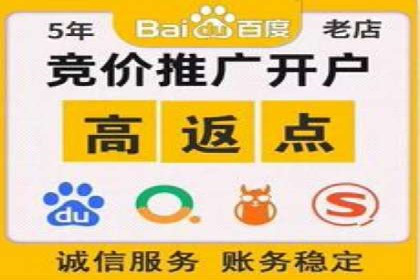 百度推广运营案例精选：揭秘成功之道